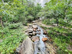 -玉渡山自然风景区