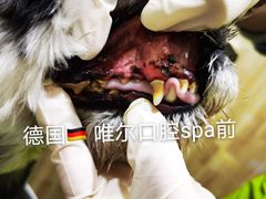 -汪小喵宠物·戴维斯乐芳希施宠馨宝皮毛调理洗护店