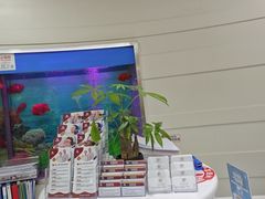 -雅悦齿科(顾村公园店)