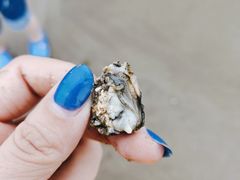 -南澳海滩