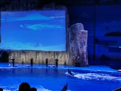 -华夏文旅海洋公园