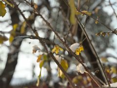 -泰山风景名胜区-普照寺