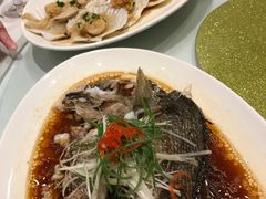 -上海会馆(香港名都店)