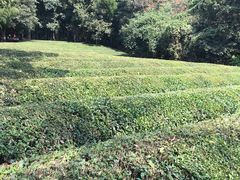 -敬亭山风景名胜区