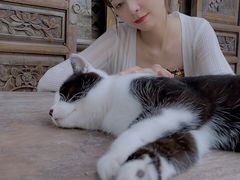 -喵屿·大理花园猫咖