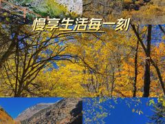 -叠溪松坪沟景区