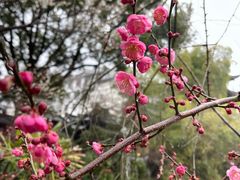-济公故居