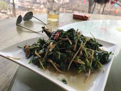 -南窖乡水峪村山情农家