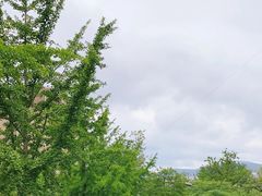 -风车面包