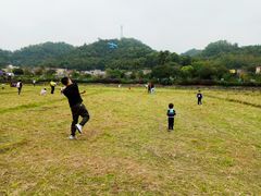 -红山村