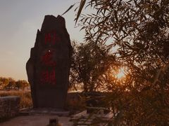 -卧龙湖