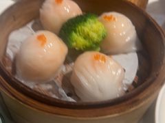 -食膳星港记·手工现做港式茶餐厅(吉联店)