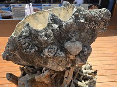 -蓝湾碧波·老字号·疍家非遗海上餐厅