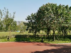 景点-天府芙蓉园