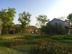 -田园东方蜜桃村的田野营地