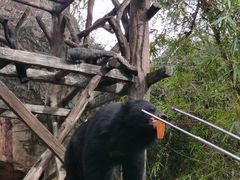 -长鹿旅游休博园