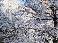 -崂山巨峰游览区