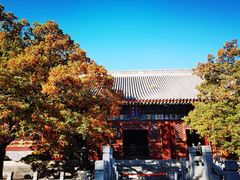 -香山公园