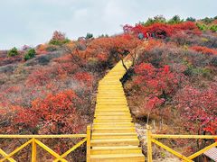 -水峪民俗村