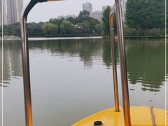 -青枫公园