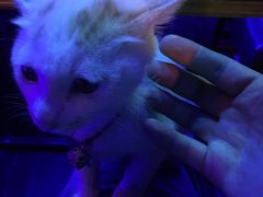 -星宿秘码(鼓浪屿老店)