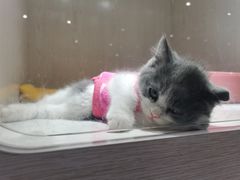 -乐宠宠物店(世纪金源店)