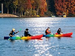 -上海海湾国家森林公园