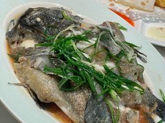 清蒸龙胆鱼-旺达·福州菜(正大广场店)