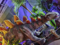 -恐龙探索乐园(磁器口店)