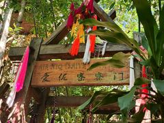 -西双版纳原始森林公园