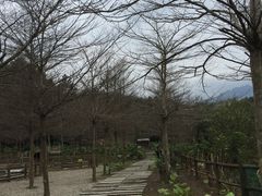 -田野绿世界