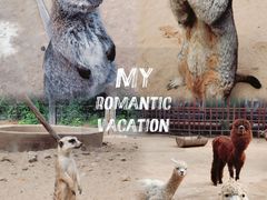 -呀路古热带植物园