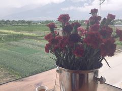 -翠田Green Field Kitchen