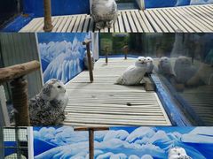 -成都浩海立方海洋公园