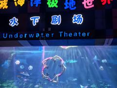 -泉城欧乐堡海洋极地世界