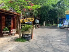 -亚龙湾热带天堂森林公园