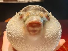 -永安鱼庄·镇江菜(东吴路店)