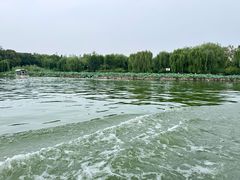 -济南大明湖景区