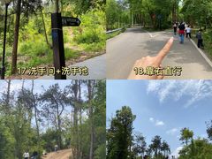 -青龙山国家森林公园