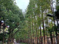 -上海财经大学(国定路校区)