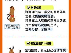 -翊宠yipet猫狗购宠庄园犬舍•猫舍