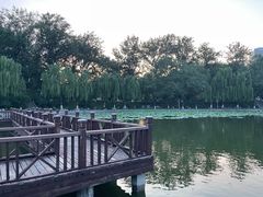 -中国农业博物馆