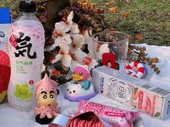 -海心沙亚运公园