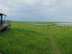 -呼和诺尔旅游景区