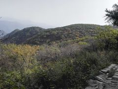 -牛背梁国家森林公园