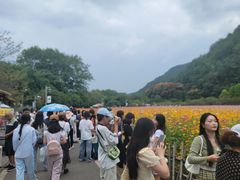 -贵阳市花溪国家城市湿地公园