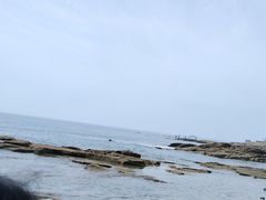 -老太太海鲜城(森林公园任家台店)