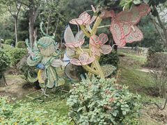 -南宫五洲植物乐园