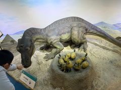 -国家自然博物馆