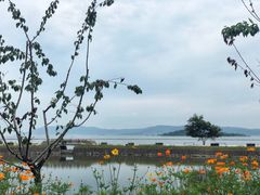 -西山樟坞健康果园枇杷杨梅采摘